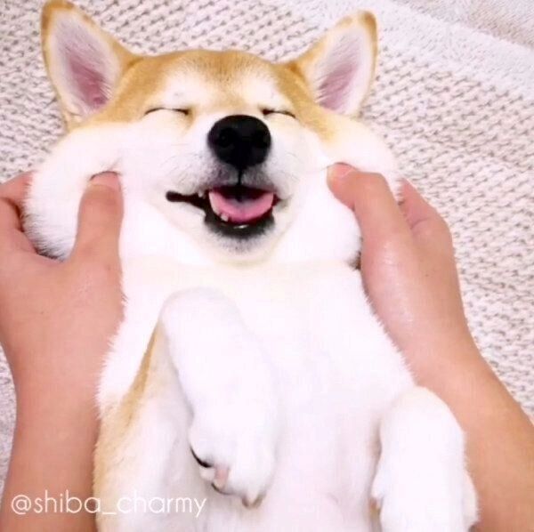 ほっぺがモチモチなチャーミーちゃん