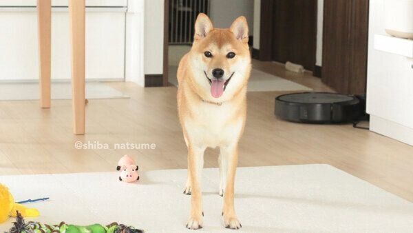 笑顔が可愛いなつめちゃん