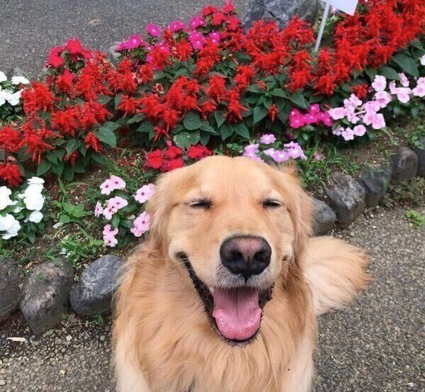 笑顔の佐助くん