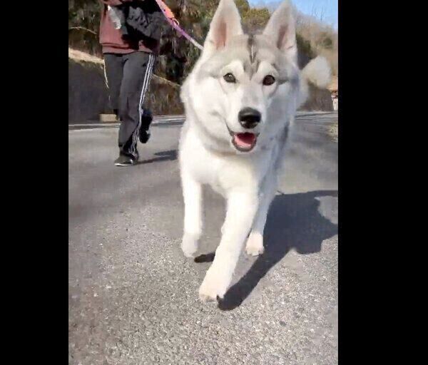 ダッシュするいちみちゃん