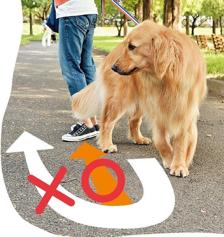 Ｕターンではなく回れ右！