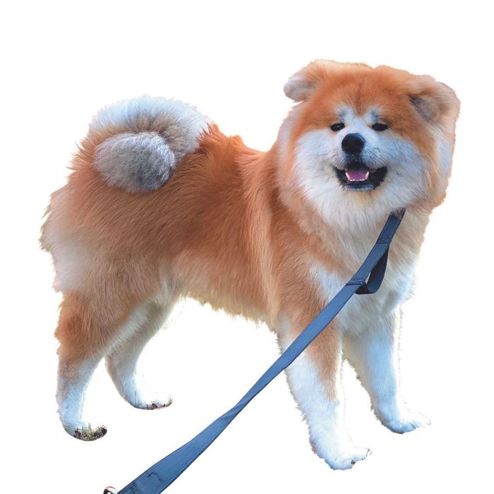 ギュギュッ!