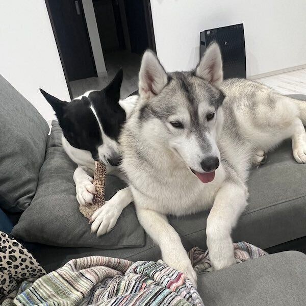 寄り添うリアンちゃんとちっぷちゃん