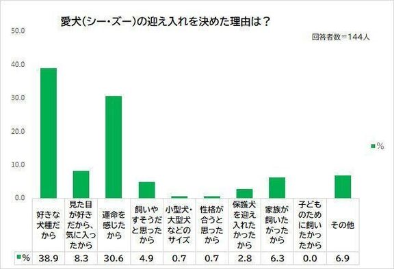 Q.シー・ズーを迎え入れた理由は?