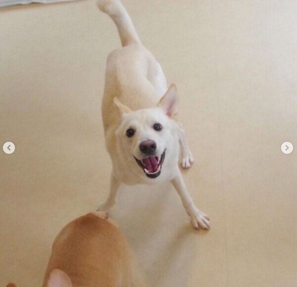 保育園で楽しそうにするレオンくん