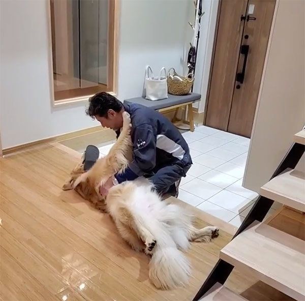 パパさんとじゃれ合うアランくん