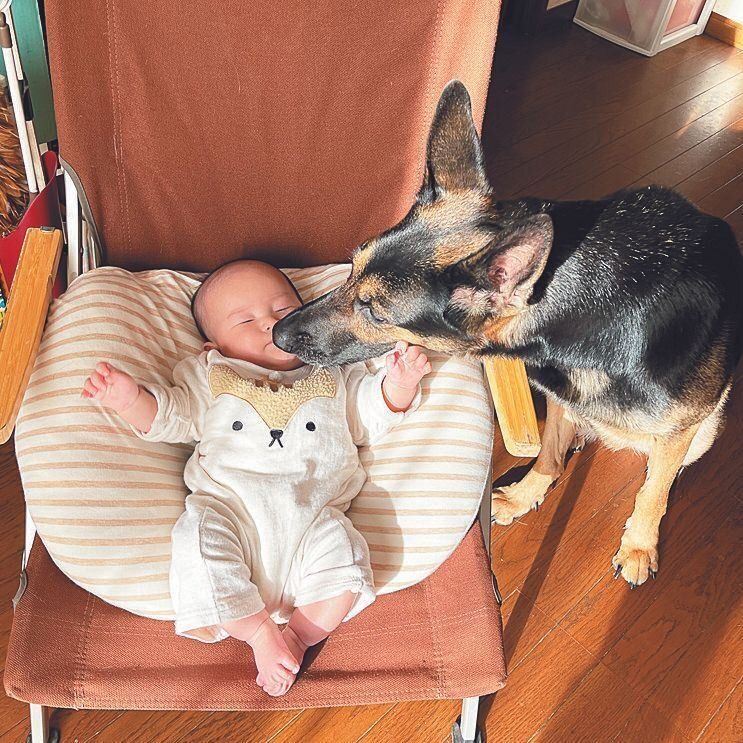 生後６カ月のOさん家の赤ちゃん。常に赤ちゃんを気にかけ、やさしく見守るシエラちゃん