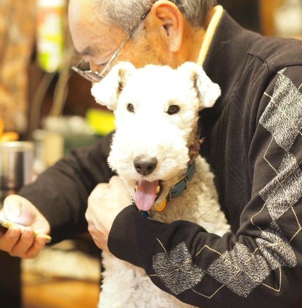 抱っこされるこっぺぱんちゃん