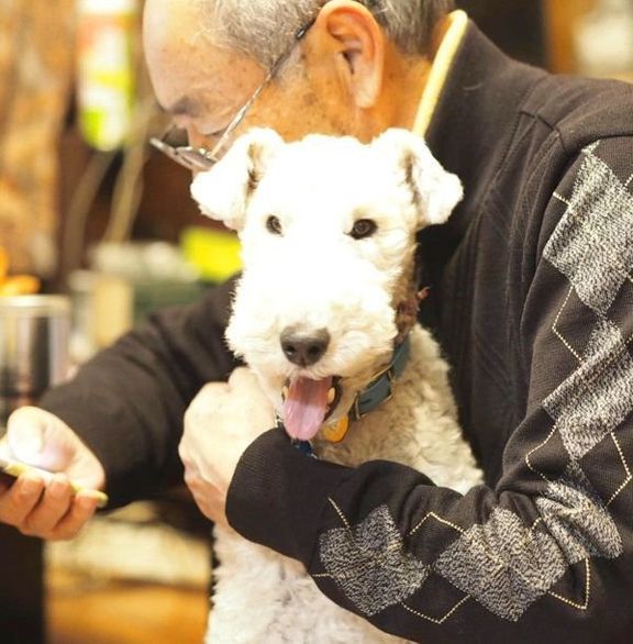 抱っこされるこっぺぱんちゃん