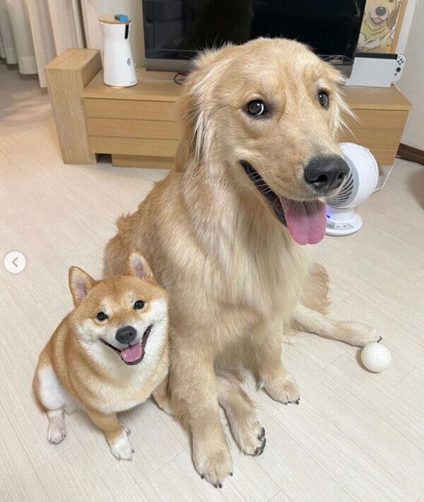 仲良しなおからちゃんとうにくん