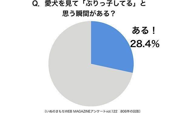 グラフ：愛犬を見て「ぶりっ子してる」と思う瞬間がある？
