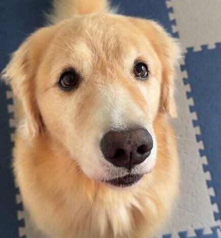 5才になったゆずちゃん