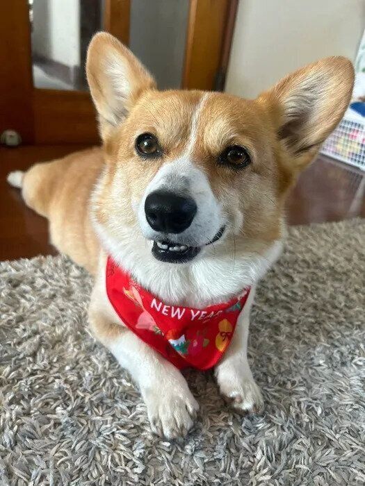 笑顔もかわいい!