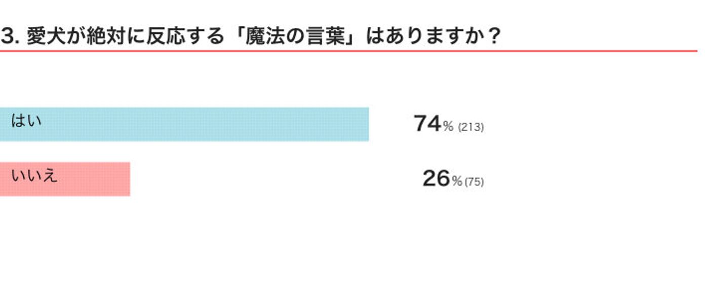 愛犬が絶対に反応する 魔法の言葉 を調査 意外なワードを覚えている犬も いぬのきもちweb Magazine 愛犬が絶対に反応する 魔法の言葉 を調査 意外なワードを覚えている犬も いぬのきもちweb Magazine
