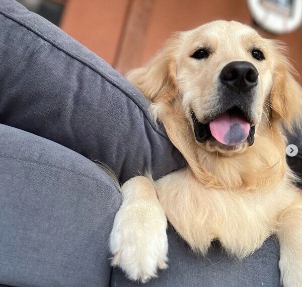 まったりするテオくん