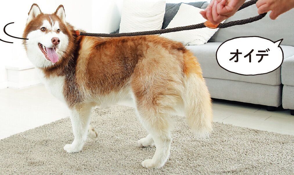 撮影／尾﨑たまき