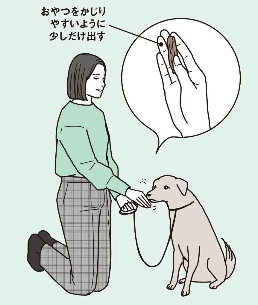 イラスト／二階堂ちはる