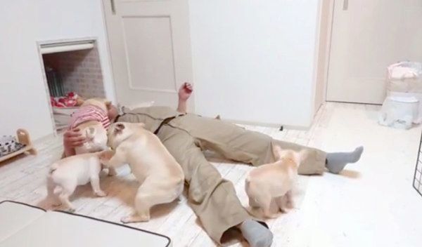 パパさんをお出迎えするボブくん・イブちゃんfamily