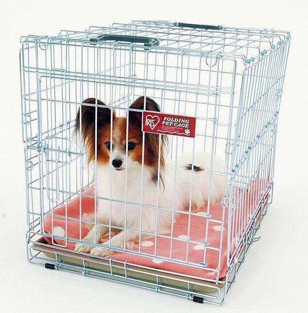 こちらはケージです。