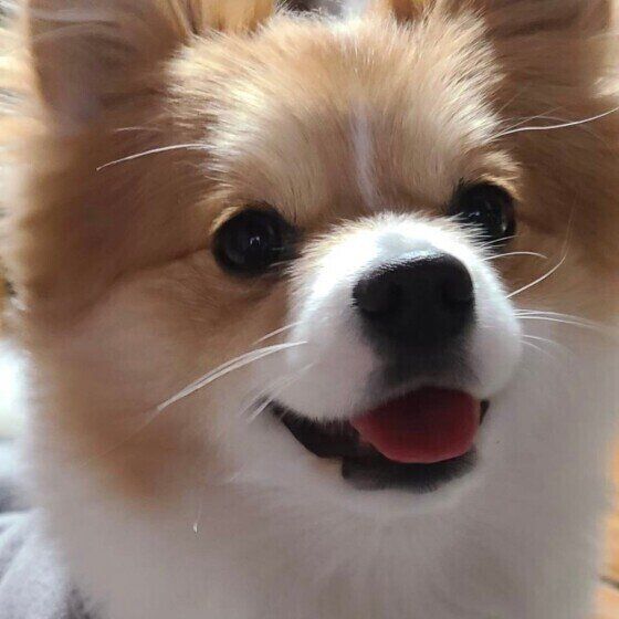 笑顔のららちゃん