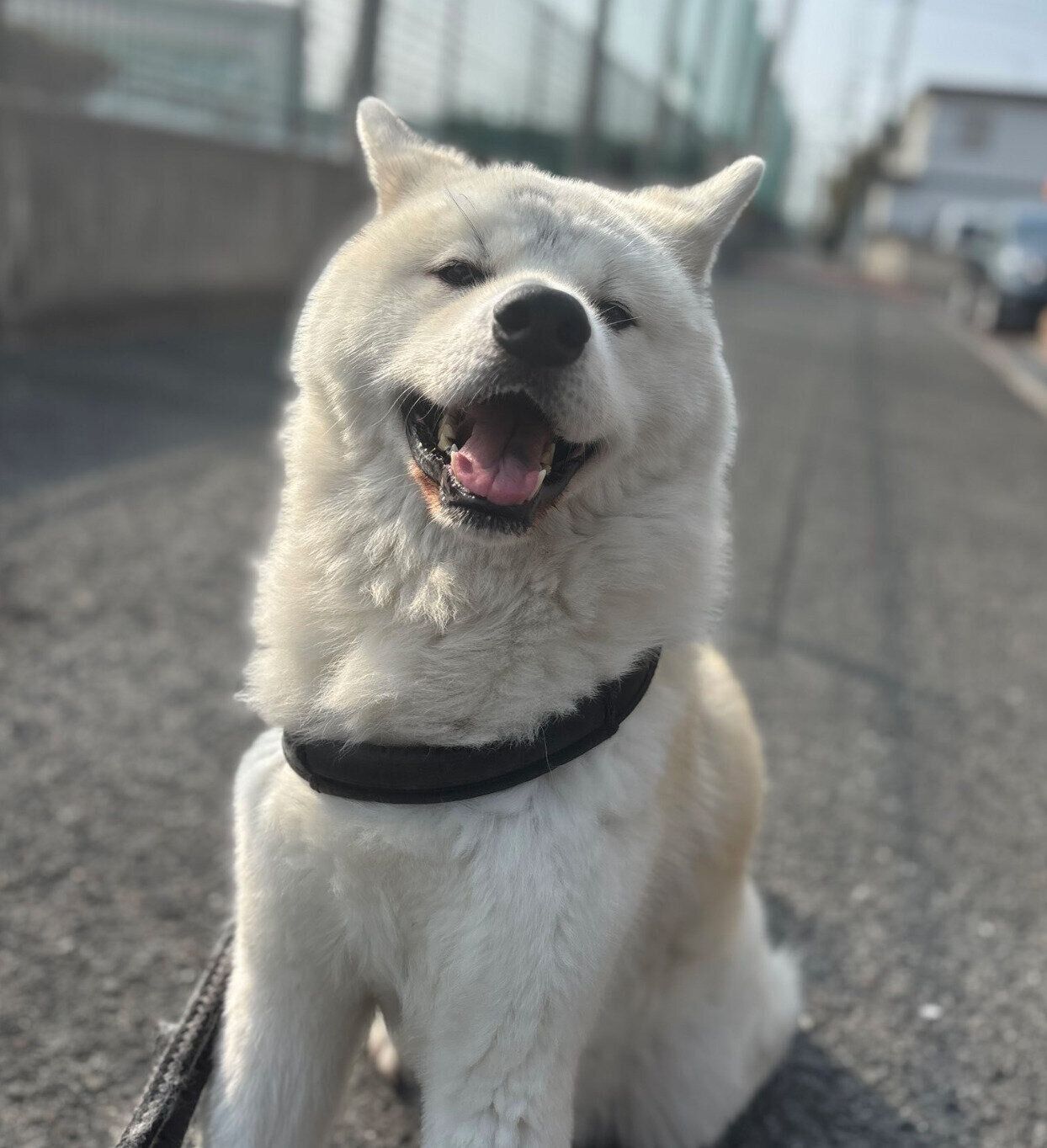楽しそうな凛太郎くん
