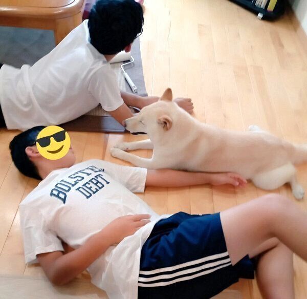 息子さんたちとまったりするしろ子ちゃん