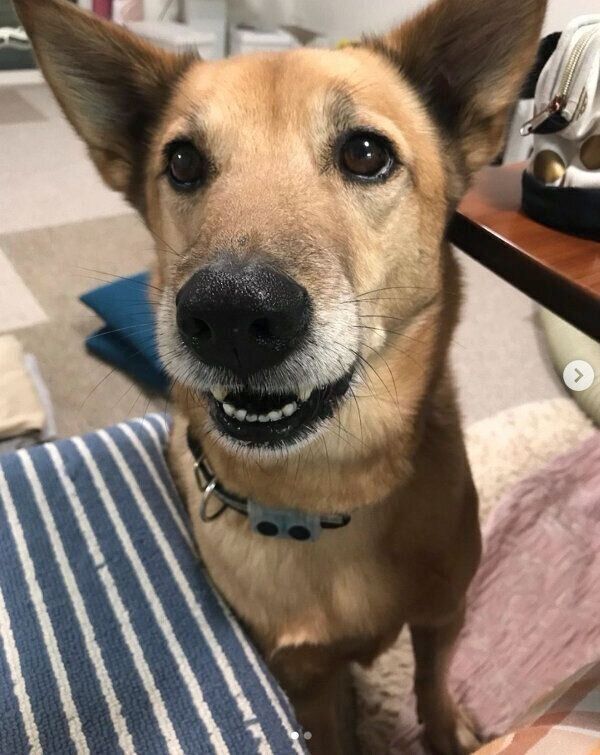 可愛い表情をするこたろうくん