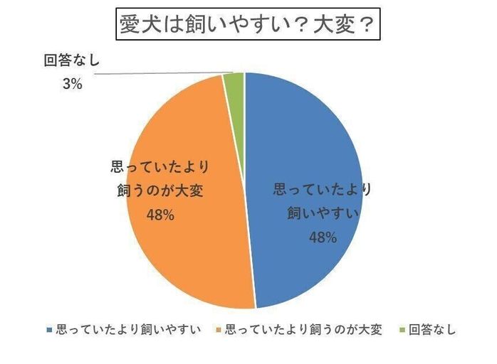 愛犬は飼いやすい?大変?
