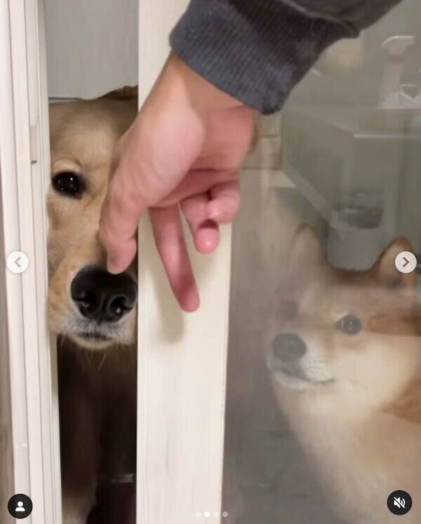 「まだ寝たくないの」とアピールするうにくん、おからちゃん