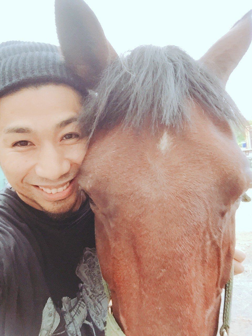 吉田山田・吉田さんと馬