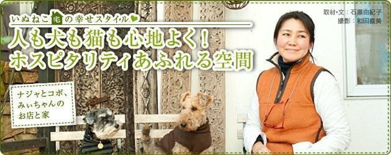 犬との暮らし 理想のかたちとは Vol 3 いぬねこ宅の幸せスタイル いぬのきもちweb Magazine 犬との暮らし 理想のかたちとは Vol 3 いぬねこ宅の幸せスタイル いぬのきもちweb Magazine