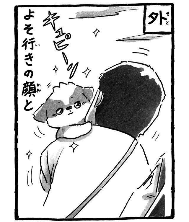 豹変ぶりに驚き!外と家で全然違う愛犬の顔|連載「シーズー犬のてんぽ」第285回