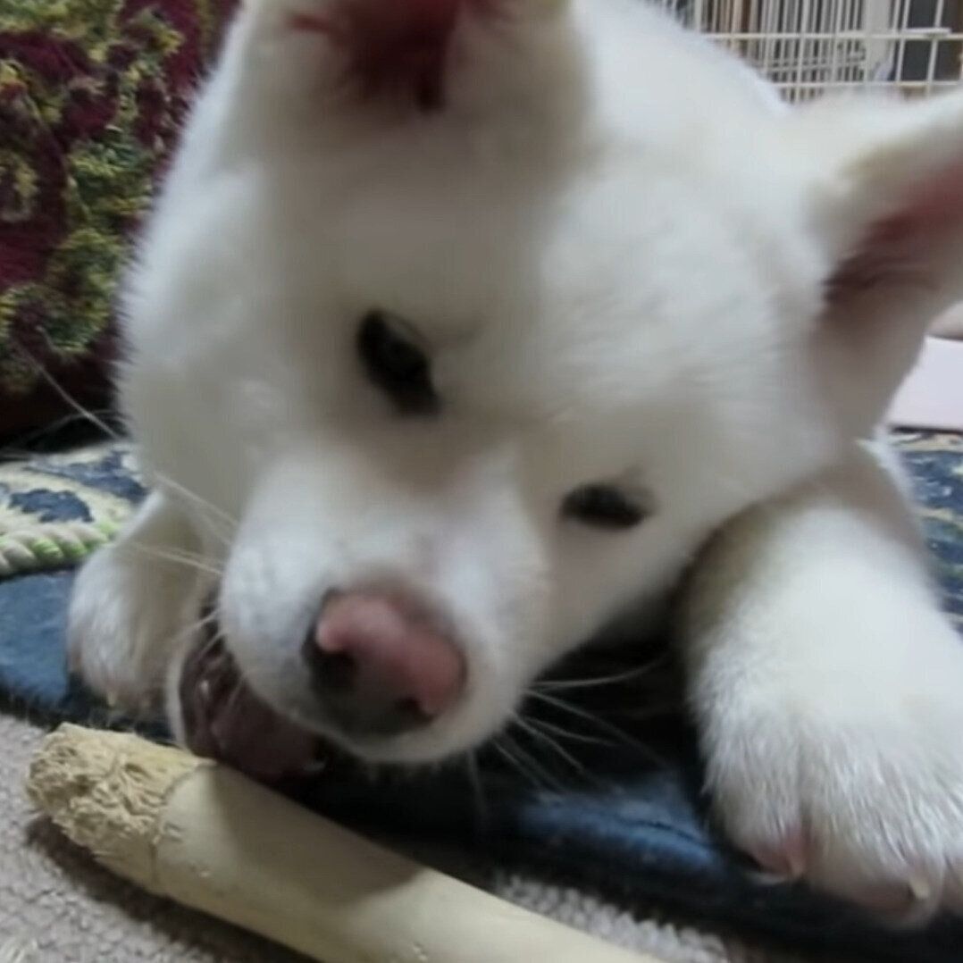 遊んでいるゆうき君