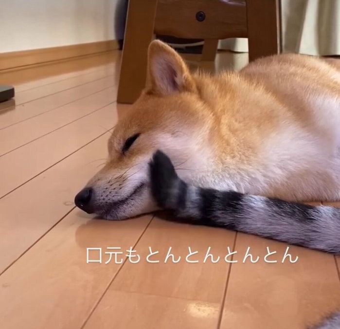 口元もトントン♪