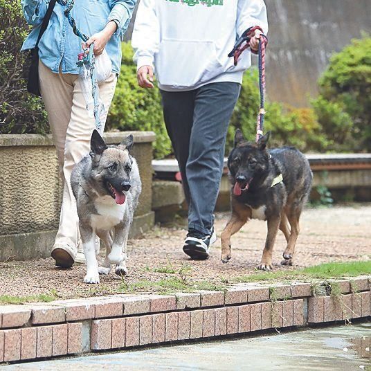 撮影／尾﨑たまき