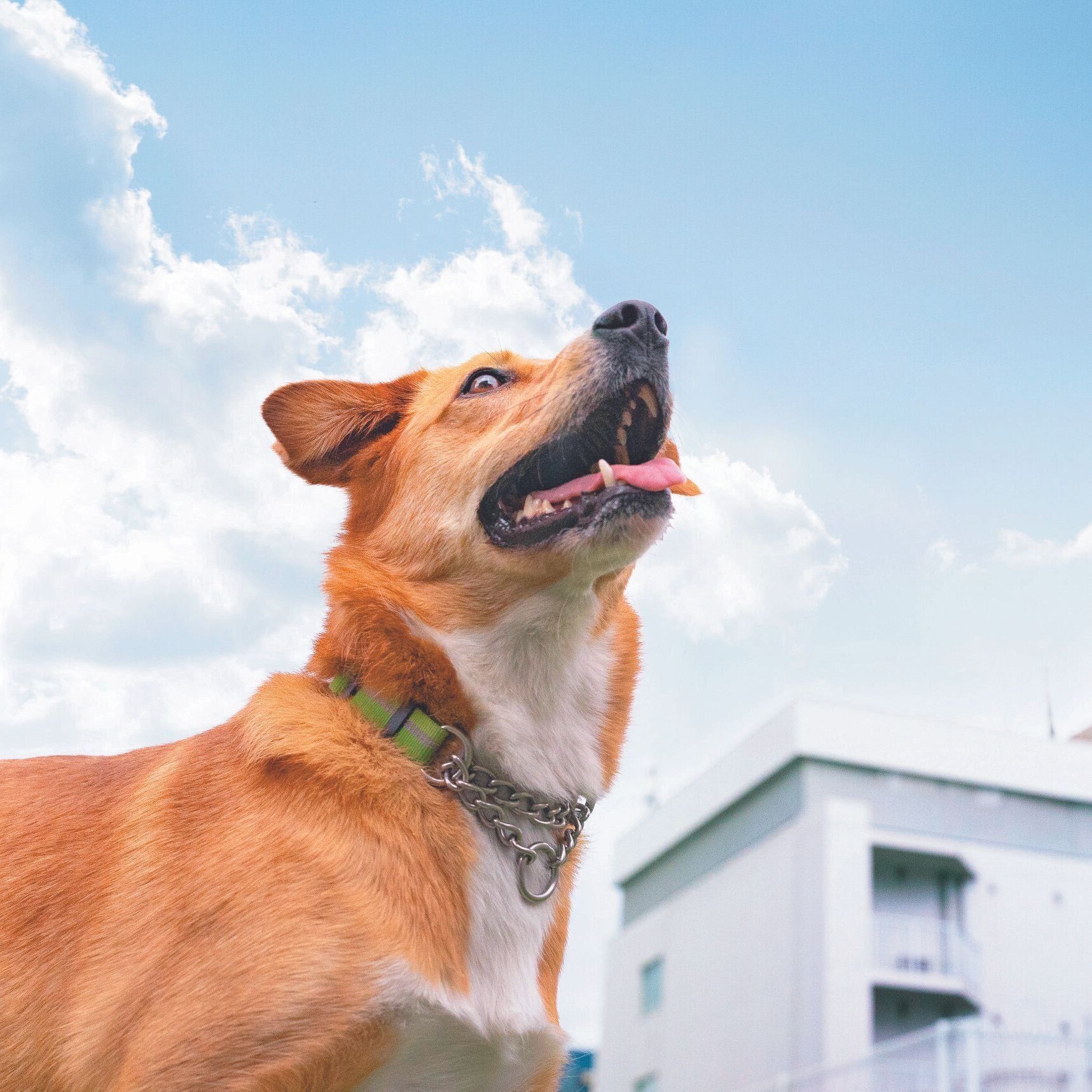 撮影／田尻光久