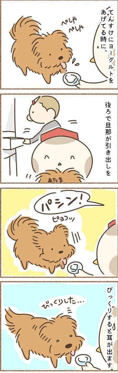 連載「こぐま犬てんすけ」