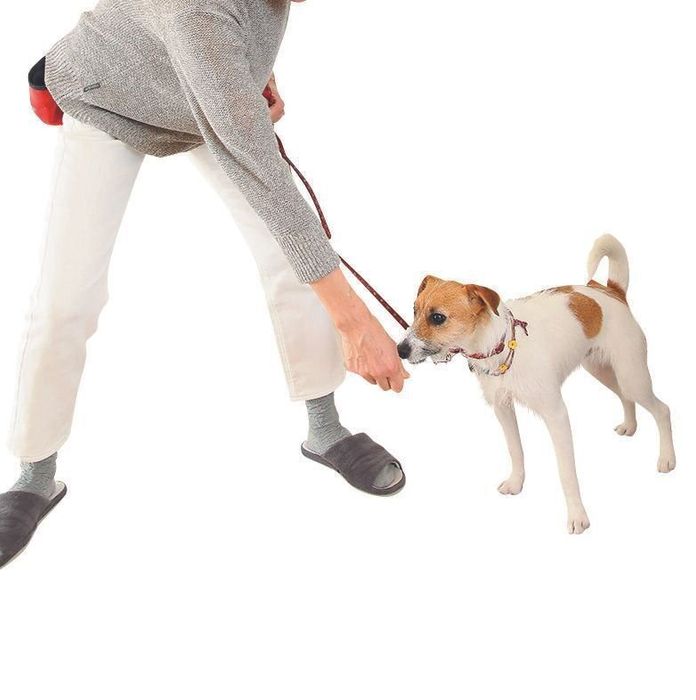 撮影/尾﨑たまき