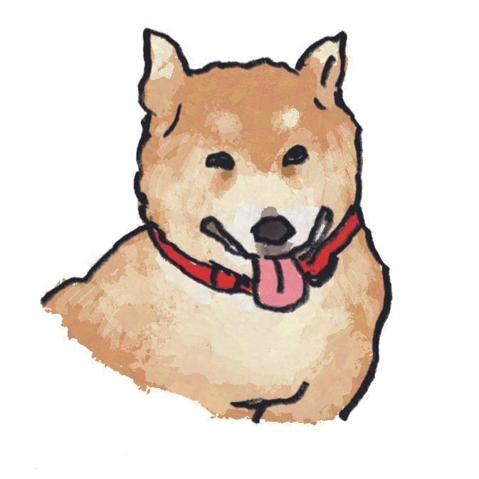 イラスト／五嶋直美