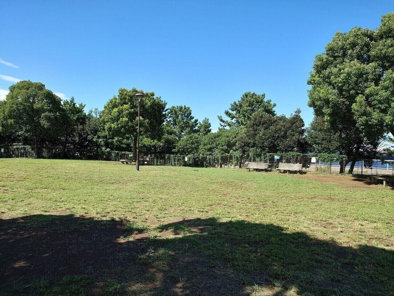 天然芝のドッグラン