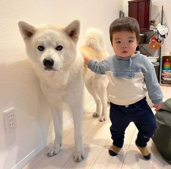 仲良く並ぶ凛太郎くんと弟くん