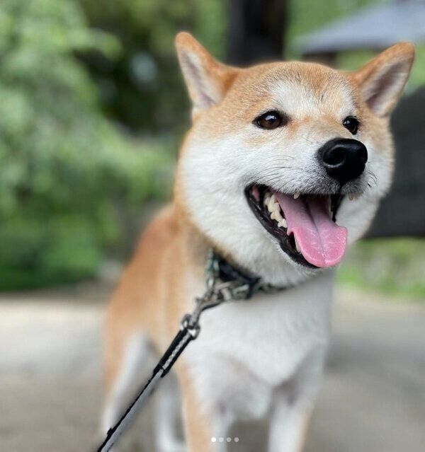 笑顔が可愛い松くん