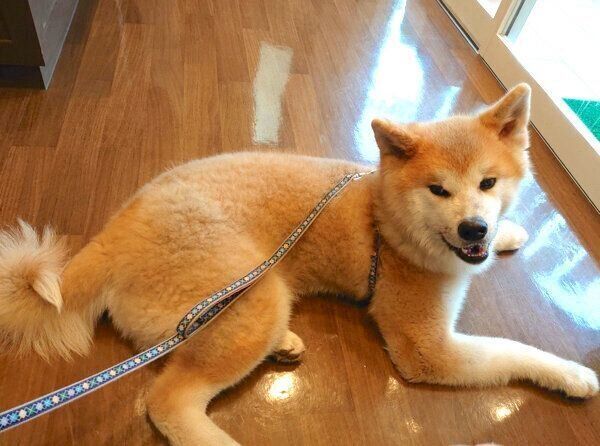 笑顔のケンくん