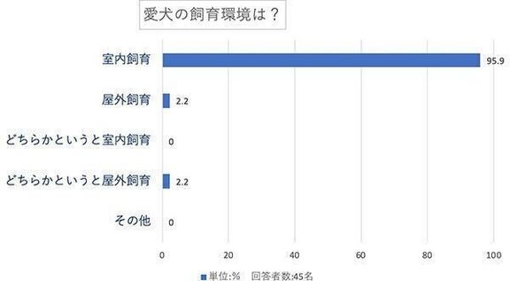 愛犬の飼育環境は?