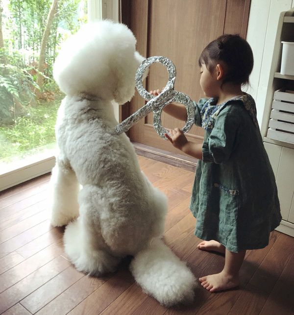 女の子にゼンマイを巻かれる犬