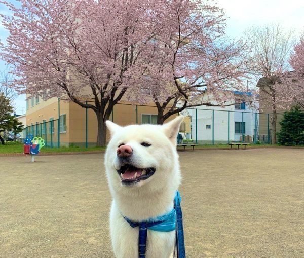 笑顔のもんたろうくん