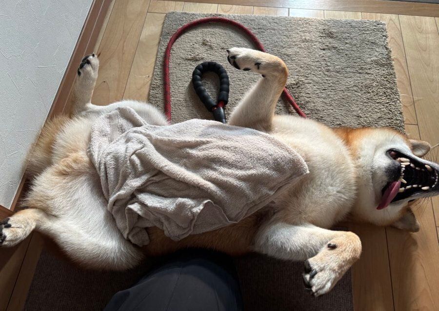 足を拭いてもらう岳くん