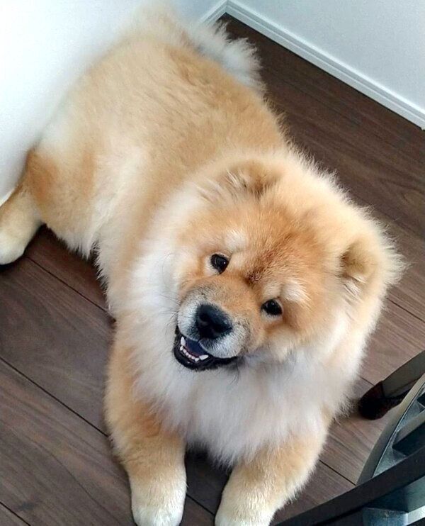 笑顔のわたるくん