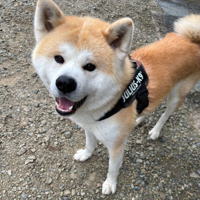 笑顔が可愛いむう太くん