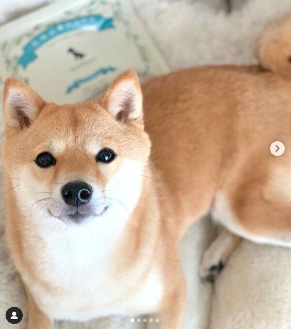 見つめるおまめちゃん